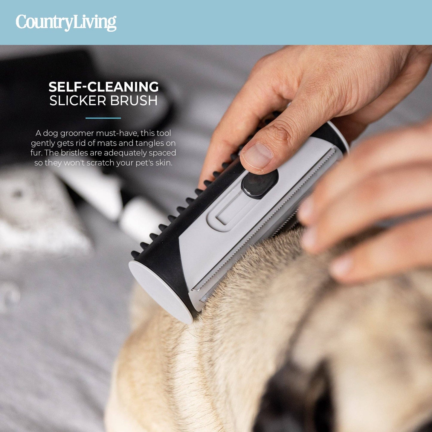 Deluxe Dog Grooming Kit